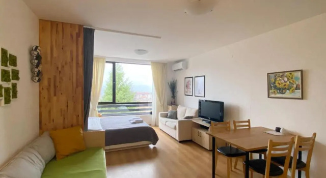 Студия Superior Aspen Studio