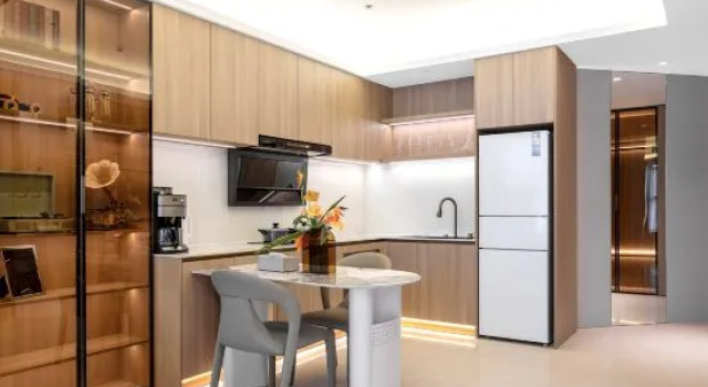 Люкс Luxury Youjia Yaju Apartment (Beijing Guomao Branch)
