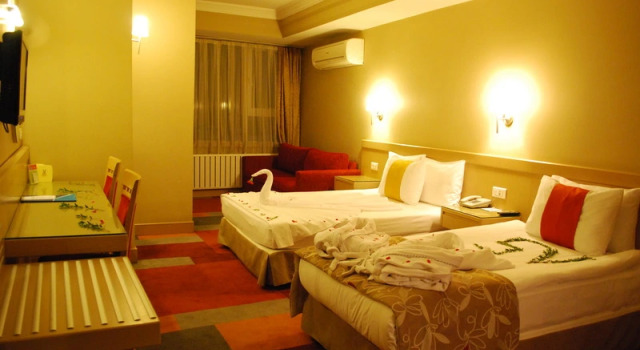 Номер Standard SV Business Hotel Diyarbakır