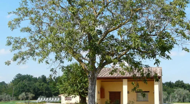 Апартаменты Villa Pian De Noci - Tenuta del Palagio