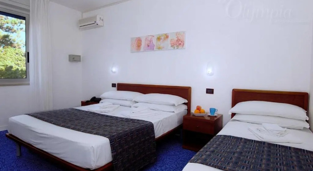 Номер Economy Hotel Olympia