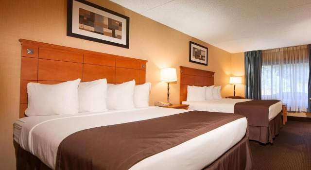 Номер Standard Best Western Danbury/Bethel