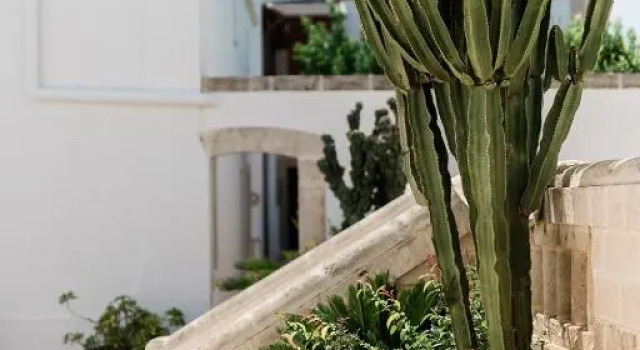 Полулюкс Masseria San Martino