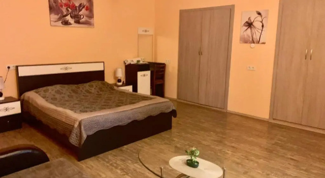 Студия Sayat Nova Apartments