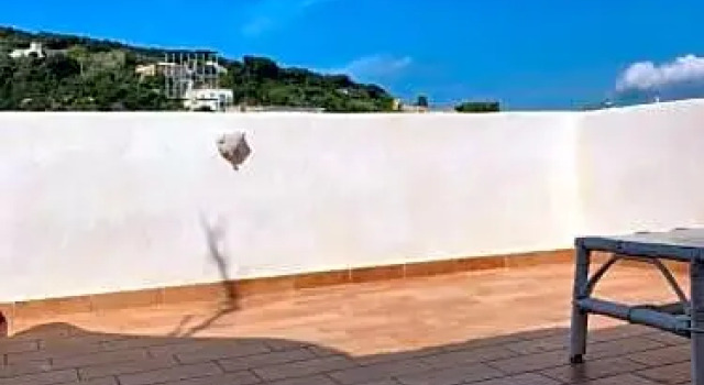 B&B Il Vecchio E Il Mare