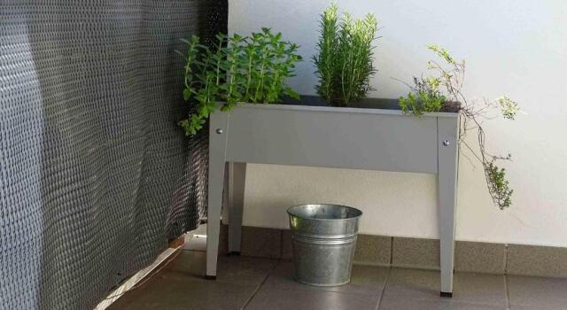Апартаменты Ferienwohnung beim Burgberg