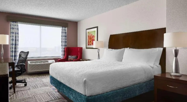 Номер Premium Hilton Garden Inn Denver South Park Meadows Area