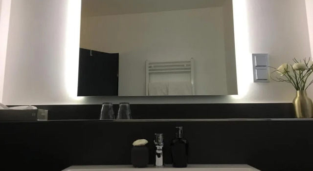 Двухместный номер Standard rugs HOTEL Köln