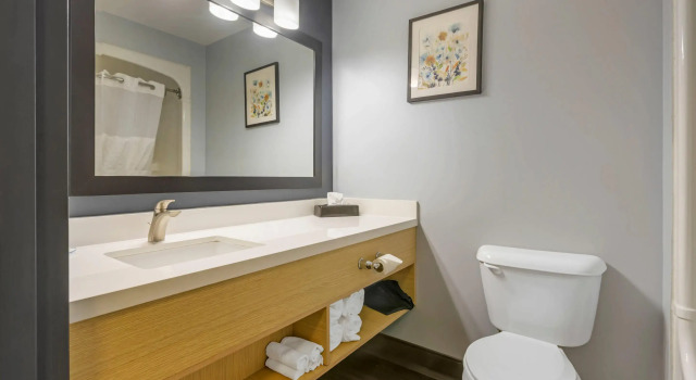 Люкс Quality Inn & Suites Oakville-Mississauga