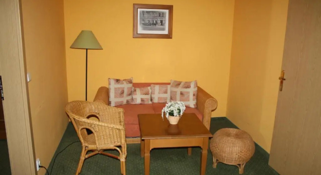Habitación doble Estándar Hotel Bouček