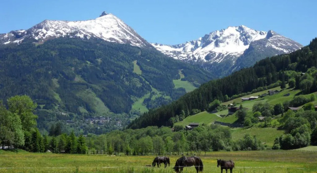 Апартаменты c 1 комнатой с балконом и с видом на горы ZITTRAUERHOF - Urlaub am Bauernhof Gastein