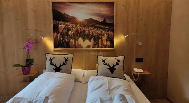 Двухместный номер Standard Alps Oriental Wellness HOTEL
