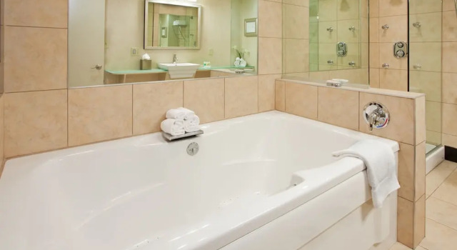 Люкс Holiday Inn At the Campus by IHG