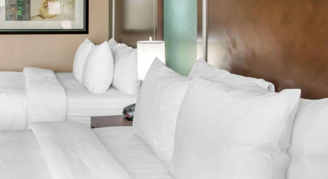 Четырёхместный номер Standard Comfort Inn & Suites San Marcos near Outlet Mall