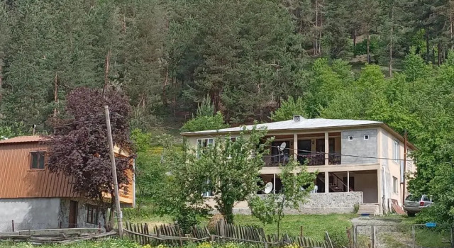Четырёхместный номер Standard Guesthouse Shkhelda