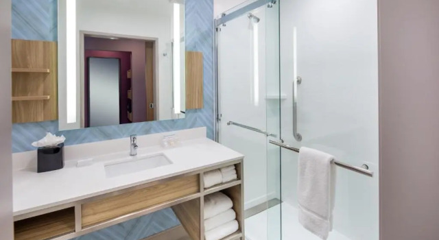 Двухместный номер Hilton Garden Inn Houston Medical Center, TX