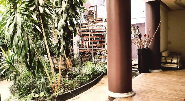 Одноместный номер Standard с балконом Hotel Jardines del Centro
