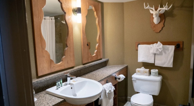 Четырёхместный номер Superior Banff Caribou Lodge and Spa