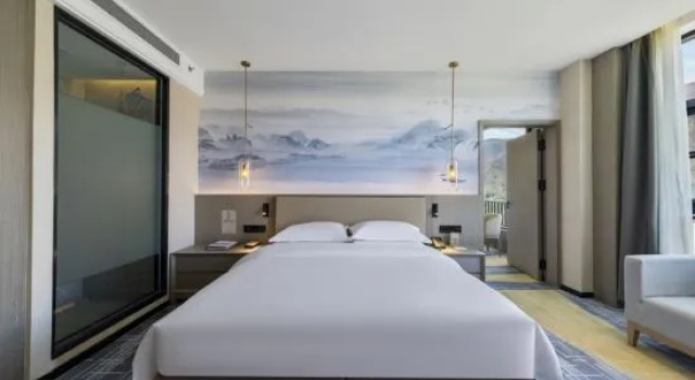 Семейный люкс xizang hotel  （Norbulingka shop)