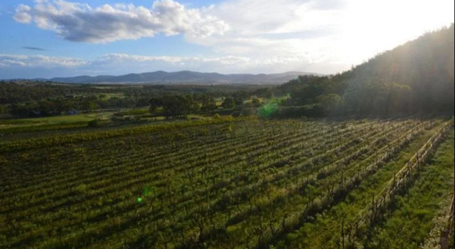 Sancerre Estate, Book Hotel Ballandean Queensland
