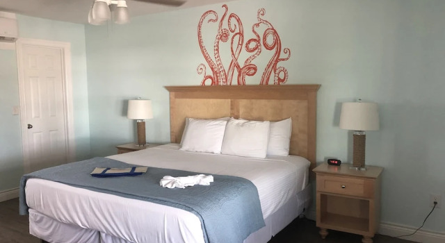 Номер Deluxe Tropic Island Resort