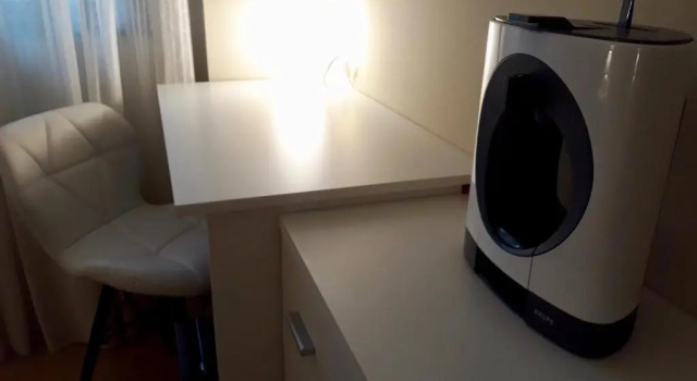 Четырёхместный номер Standard Hostal Casa Aurita Adults Only