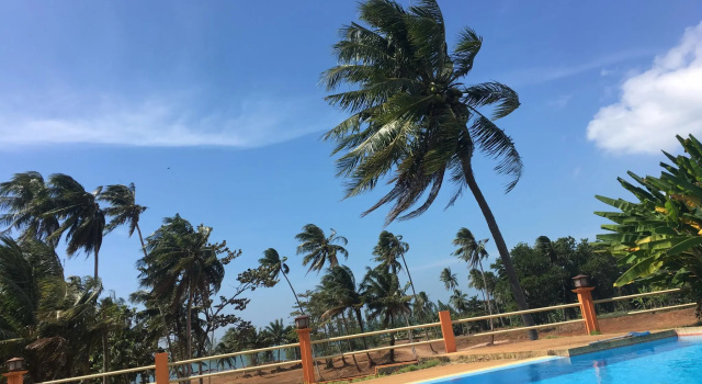 Кровать в общем номере Sleep Soundly By The Sea