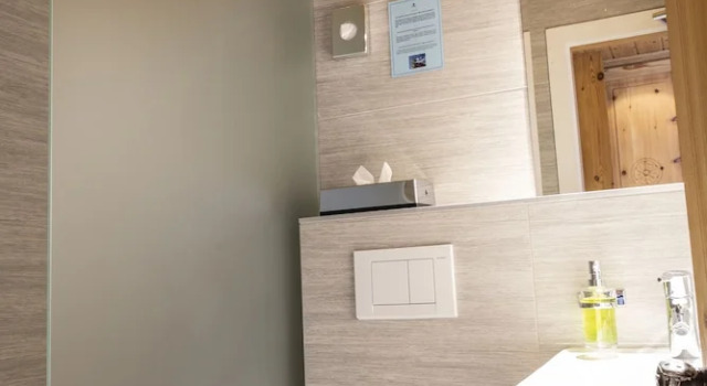 Номер Standard Hôtel Alpina - Swiss Ski & Bike Lodge Grimentz