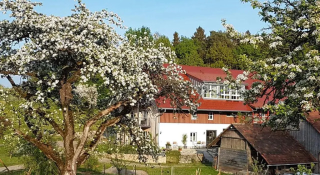 Номер Standard Landgut Apfelrose
