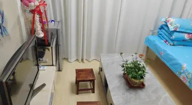 Люкс Ruiyu Guesthouse (Luoyang Longmen High-speed Railway Station)