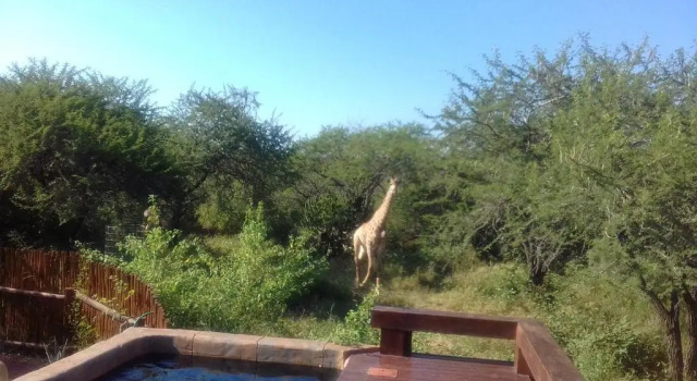 Коттедж Marloth Kruger Whispering Ants