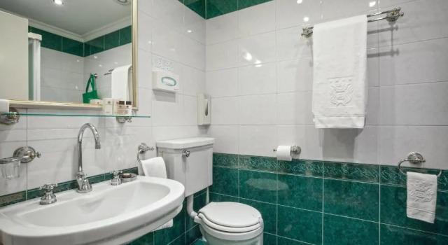 Одноместный номер Standard Hotel Quisisana Terme
