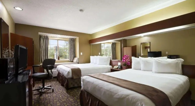 Номер Standard Microtel Inn & Suites by Wyndham Lithonia/Stone Mountain