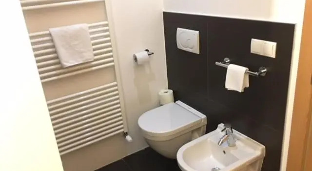 Одноместный номер Standard Farmhotel Moosmair