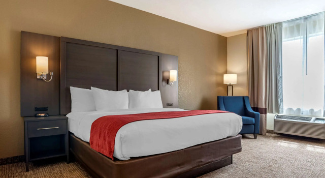 Двухместный номер Standard Comfort Inn & Suites Millbrook-Prattville