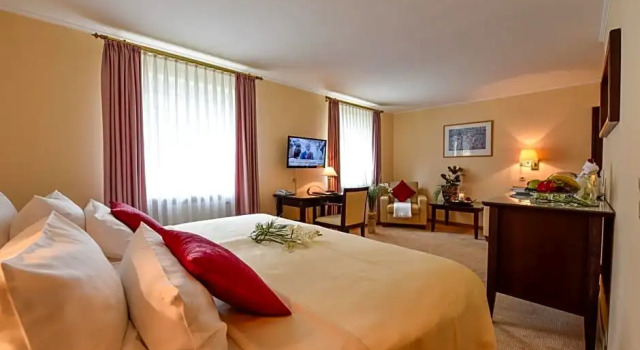 Номер Superior Atrium Hotel Amadeus