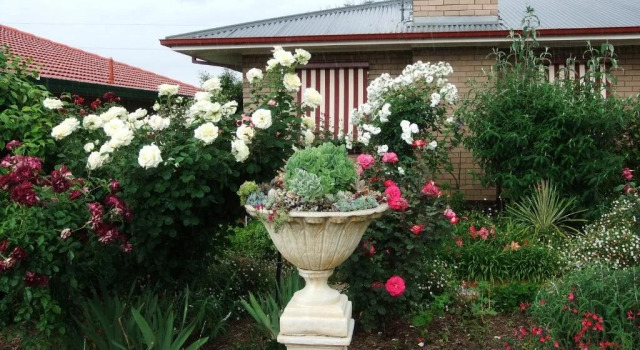 Admurraya House Bed & Breakfast, Réserver Hôtel Rutherglen Murray River