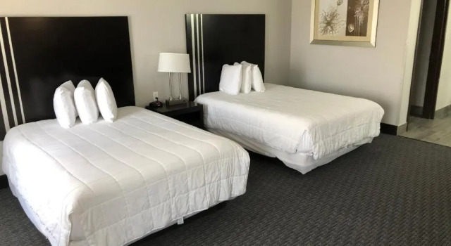 Четырёхместный номер Standard Lea County Inn