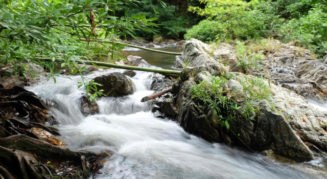 Люкс Pi Creek Hideaway Resort