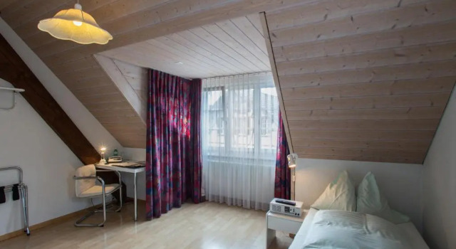 Одноместный номер Comfort Seminarhotel Linde Stettlen