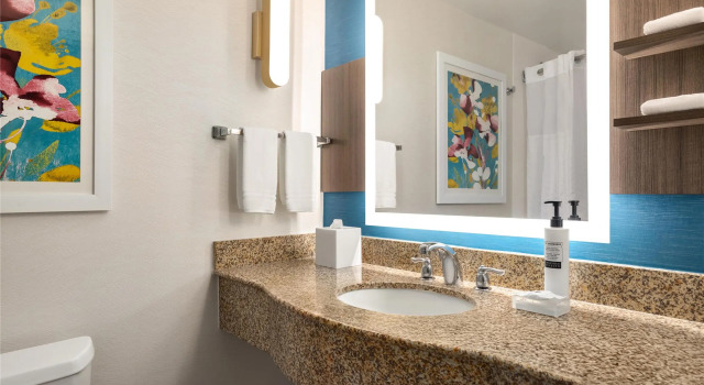 Четырёхместный номер Standard Hilton Garden Inn Fort Myers Airport/FGCU