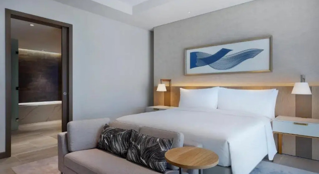 Двухместный люкс c 1 комнатой Курортный отель Hilton Abu Dhabi Yas Island