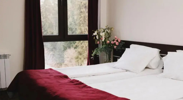 Студия Borovets Green Hotel