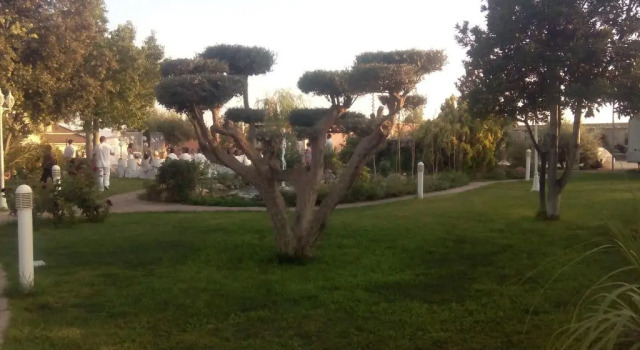 Апартаменты Los Jardines de Lola Apartamentos cerca del Aeropuerto, Playas, Ideal para teletrabajo