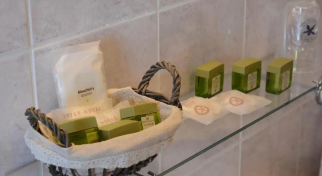 Двухместный номер Economy The Originals City, Hôtel Le Cheval Rouge, Tours Ouest