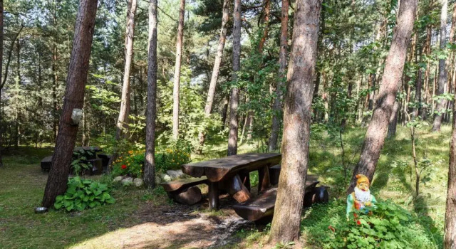Номер Standard Vila Krantas