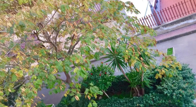 Апартаменты Casa Cristina