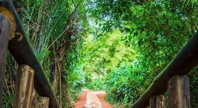 Double cottage Forever Eco Resort