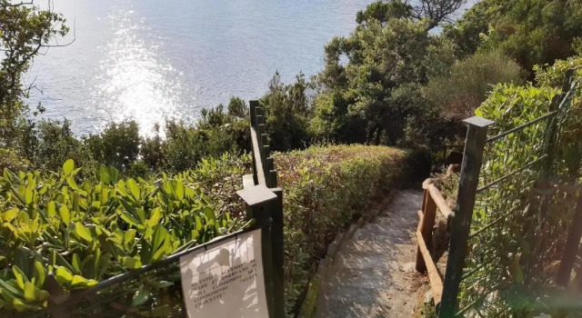 Апартаменты Studio für 2 Personen ca 20 m in Moneglia, Italienische Riviera Italienische Westküste