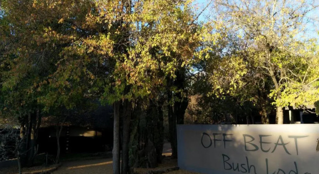 Номер Standard Off Beat Safaris Bush Lodge